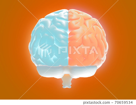 3D rendering hemispheres left and right cerebral brain on orange BG 70659534