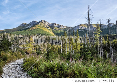 Belianske Tatras scenery, Slovakia, hiking theme 70660115