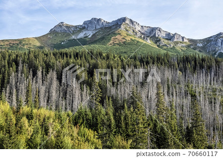 Belianske Tatras scenery, Slovakia, hiking theme 70660117