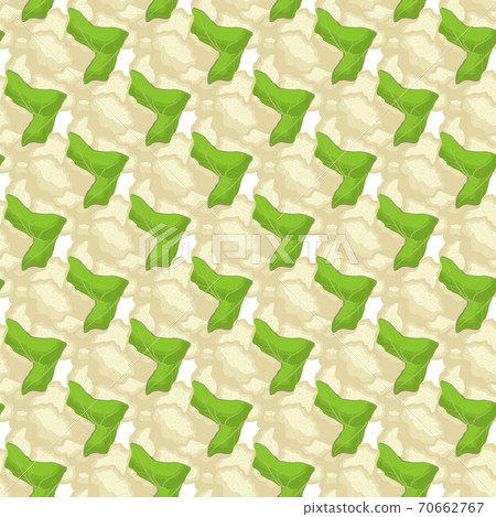 Illustration on theme of bright pattern cabbage Illustration on theme of bright pattern cabbage 70662767