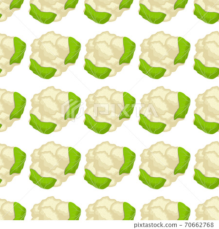 Illustration on theme of bright pattern cabbage Illustration on theme of bright pattern cabbage 70662768