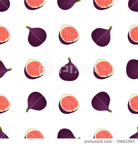 Illustration on theme big colored seamless purple fig Illustration on theme big colored seamless purple fig 70662993