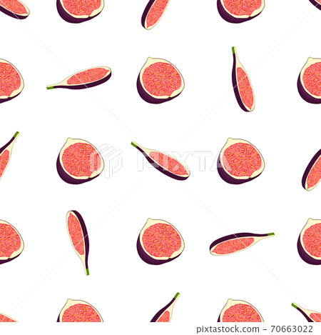 Illustration on theme big colored seamless purple fig Illustration on theme big colored seamless purple fig 70663022