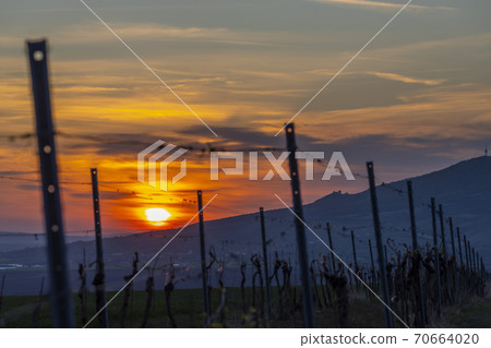 Sunrise in Palava with Devicky ruins, Southern Moravia, Czech Republic Sunrise in Palava with Devicky ruins, Southern Moravia, Czech Republic 70664020