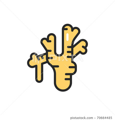 Ginger root color line icon. Spices, seasoning.  70664485