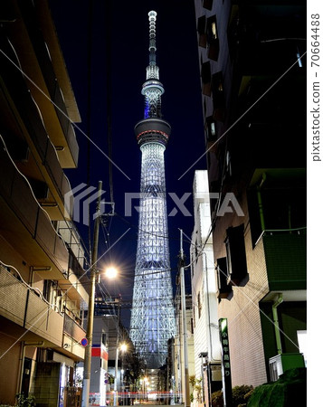 Sky tree in valley valley Sky tree in valley valley 70664488