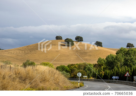 Landscape of Sierra de Grazalema natural park, Cadiz province, Andalusia, Spain. 70665036
