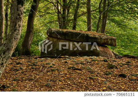 ancient megalith dolmen among trees in an autumn grove 70665131