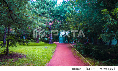 A straight road in a botanical garden in Hokkaido A straight road in a botanical garden in Hokkaido 70665351