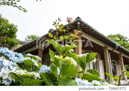 Scenery of Glover Garden, Nagasaki City, Nagasaki Prefecture Scenery of Glover Garden, Nagasaki City, Nagasaki Prefecture 70665373