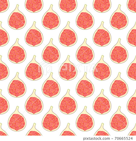 Illustration on theme big colored seamless purple fig Illustration on theme big colored seamless purple fig 70665524