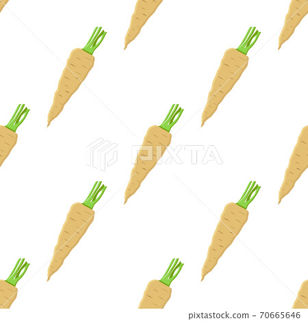 Illustration on theme of pattern plant parsnip Illustration on theme of pattern plant parsnip 70665646