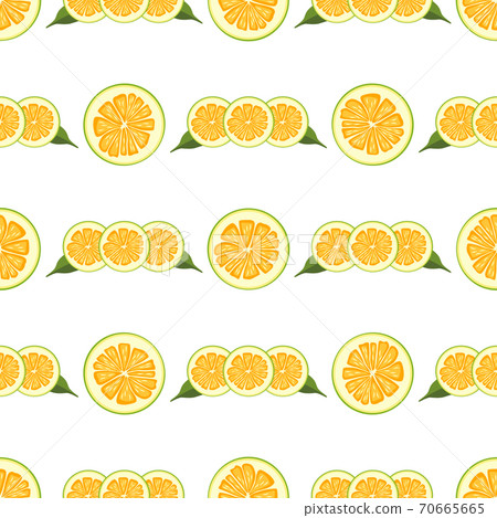 Illustration on theme big colored seamless pomelo Illustration on theme big colored seamless pomelo 70665665