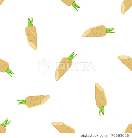 Illustration on theme of pattern plant parsnip Illustration on theme of pattern plant parsnip 70665666