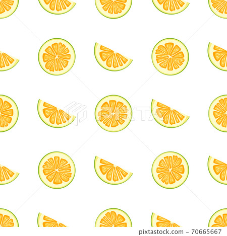 Illustration on theme big colored seamless pomelo 70665667