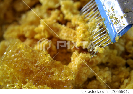 Drop of bee honey drip from hexagonal honeycombs 70666042