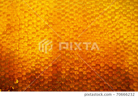 Drop of bee honey drip from hexagonal honeycombs Drop of bee honey drip from hexagonal honeycombs 70666232