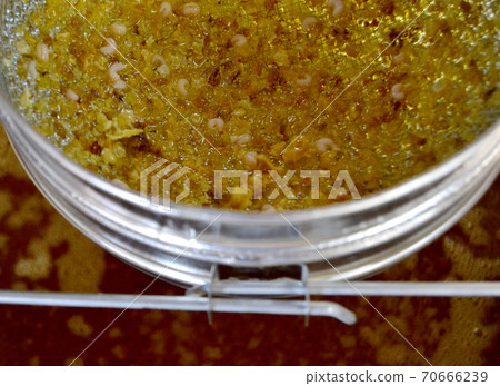 Drop of bee honey drip from hexagonal honeycombs 70666239