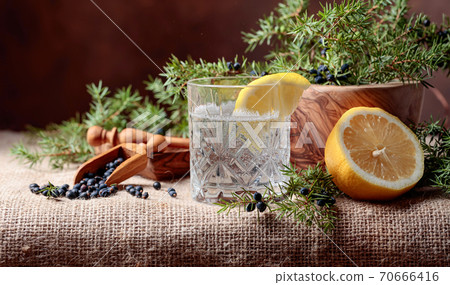 Cocktail gin, tonic with lemon and a branch of juniper with berries. Cocktail gin, tonic with lemon and a branch of juniper with berries. 70666416