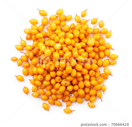 Sea buckthorn heap on white background, isolated. The view from top Sea buckthorn heap on white background, isolated. The view from top 70666428