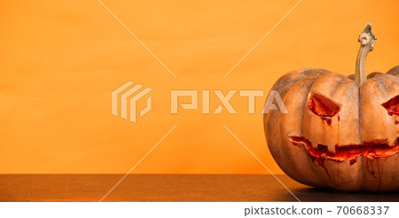 halloween pumpkins on orange background copy space halloween pumpkins on orange background copy space 70668337