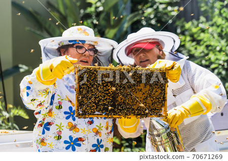 Beekeeper controlling beehive and comb frame 70671269