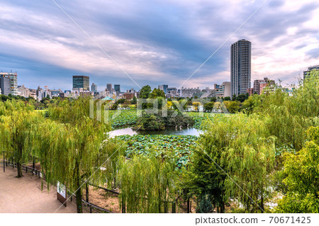 日本,上野,東京的東京都市風景。俯瞰忍者池 日本,上野,東京的東京都市風景。俯瞰忍者池 70671425