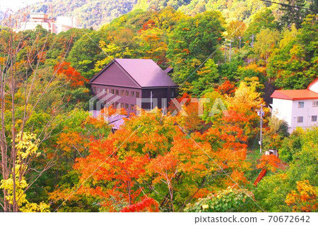 在深秋的夜光閃閃發光 70672642