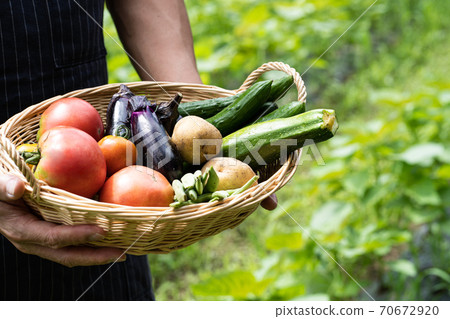 Men with vegetables 70672920