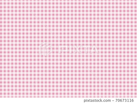 Gingham Chuck Pink Gingham Chuck Pink 70673116