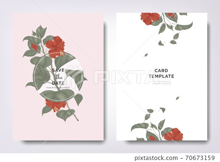 Botanical wedding invitation card template design, red hibiscus flowers and leaves 70673159