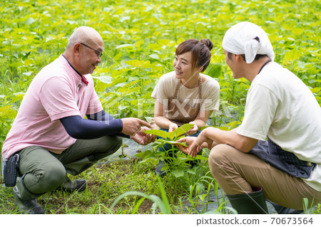 Agricultural experience 70673564