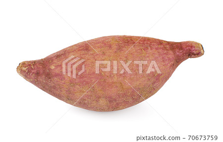 Sweet potato isolated on white background Sweet potato isolated on white background 70673759