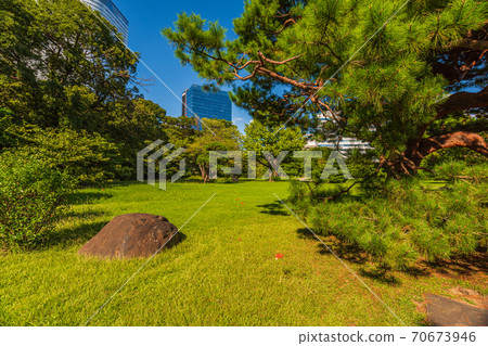 東京都中央區東京都濱海宮花園花園 70673946