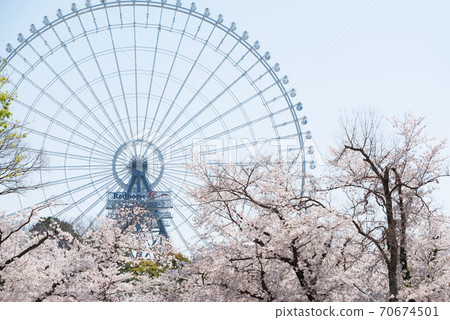 春季博覽會紀念公園 春季博覽會紀念公園 70674501
