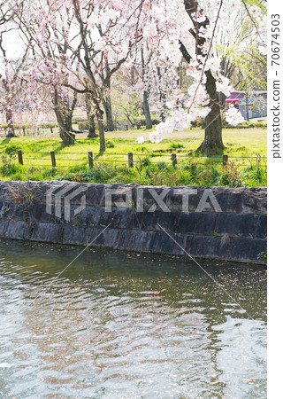 春季博覽會紀念公園 70674503