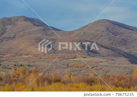 Beautiful autumn leaf colors in the Uinta National Forest of the Uinta Mountains in Utah Beautiful autumn leaf colors in the Uinta National Forest of the Uinta Mountains in Utah 70675235