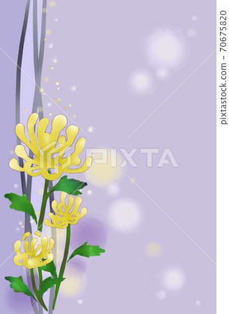 Lonely chrysanthemum postcard in mourning Lonely chrysanthemum postcard in mourning 70675820