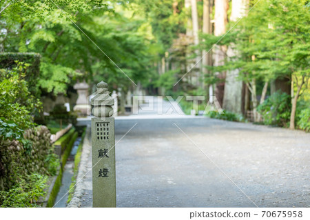 Fukuroi Hatayama approach Fukuroi Hatayama approach 70675958