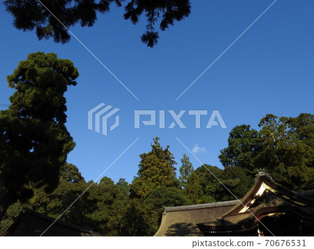 Yamanobe no Michi Oomiwa Shrine 70676531