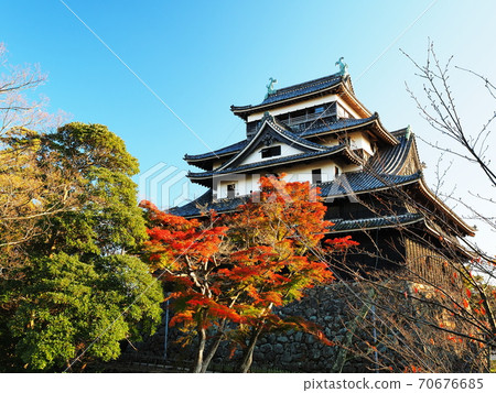 Matsue castle in autumn 70676685