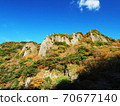 Tachikuekyo of autumn leaves 70677140