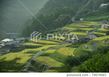 Kochi Otoyo Town Yone Tanada Kochi Otoyo Town Yone Tanada 70679865