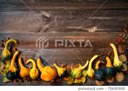 Colorful Pumpkins As Autumn Season Decoration, Vintage Wooden Background Colorful Pumpkins As Autumn Season Decoration, Vintage Wooden Background 70680980