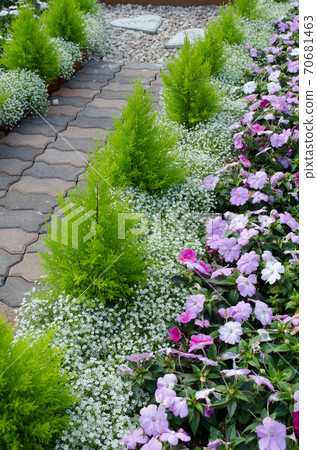 Beautiful flowers Beautiful flowers 70681463