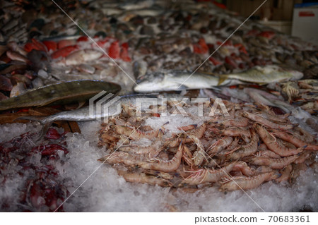 Shrimps with ice on the fish market in Hurghada. Egypt. Shrimps with ice on the fish market in Hurghada. Egypt. 70683361