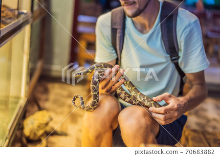 A man holding a small python in his hands 70683882