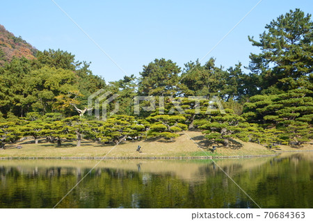 小島松樹（栗川林公園/香川縣高松市） 70684363