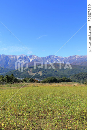 白馬村:從Nohira看秋天的白馬三山 白馬村:從Nohira看秋天的白馬三山 70687429