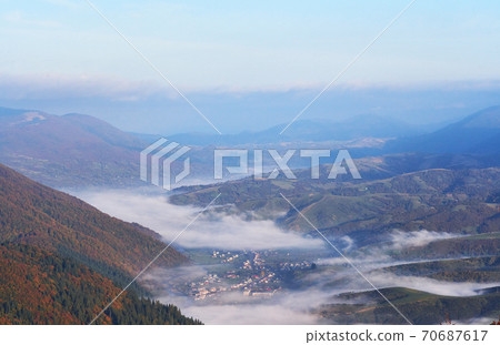 birch forest in sunny afternoon while autumn season. Autumn Landscape. 70687617